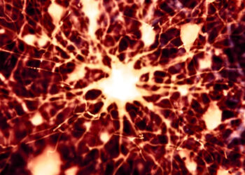 Medicamentos Anticâncer e Alzheimer: Uma Nova Esperança