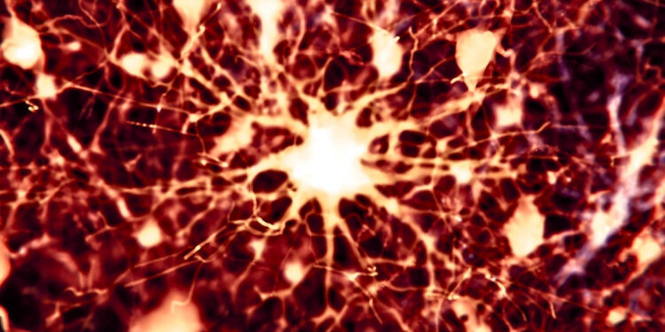 Medicamentos Anticâncer e Alzheimer: Uma Nova Esperança