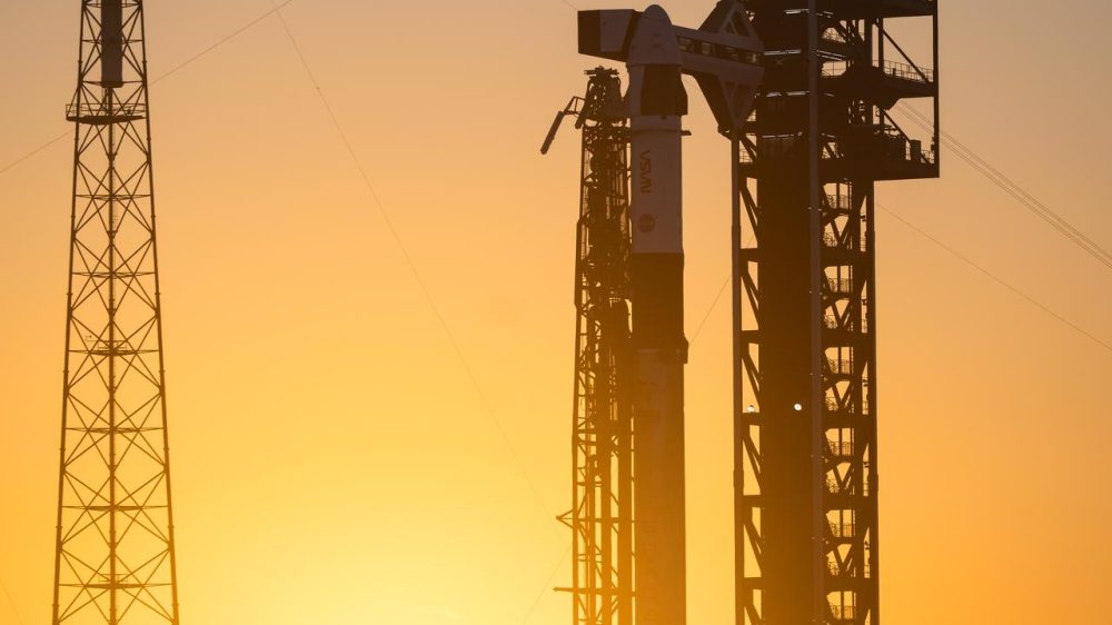 NHQ202602100001~large