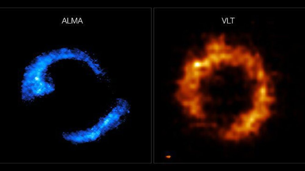 The PJ0116-24 galaxy seen with the VLT and ALMA